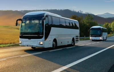 No-fly cruises with a local coach to the port