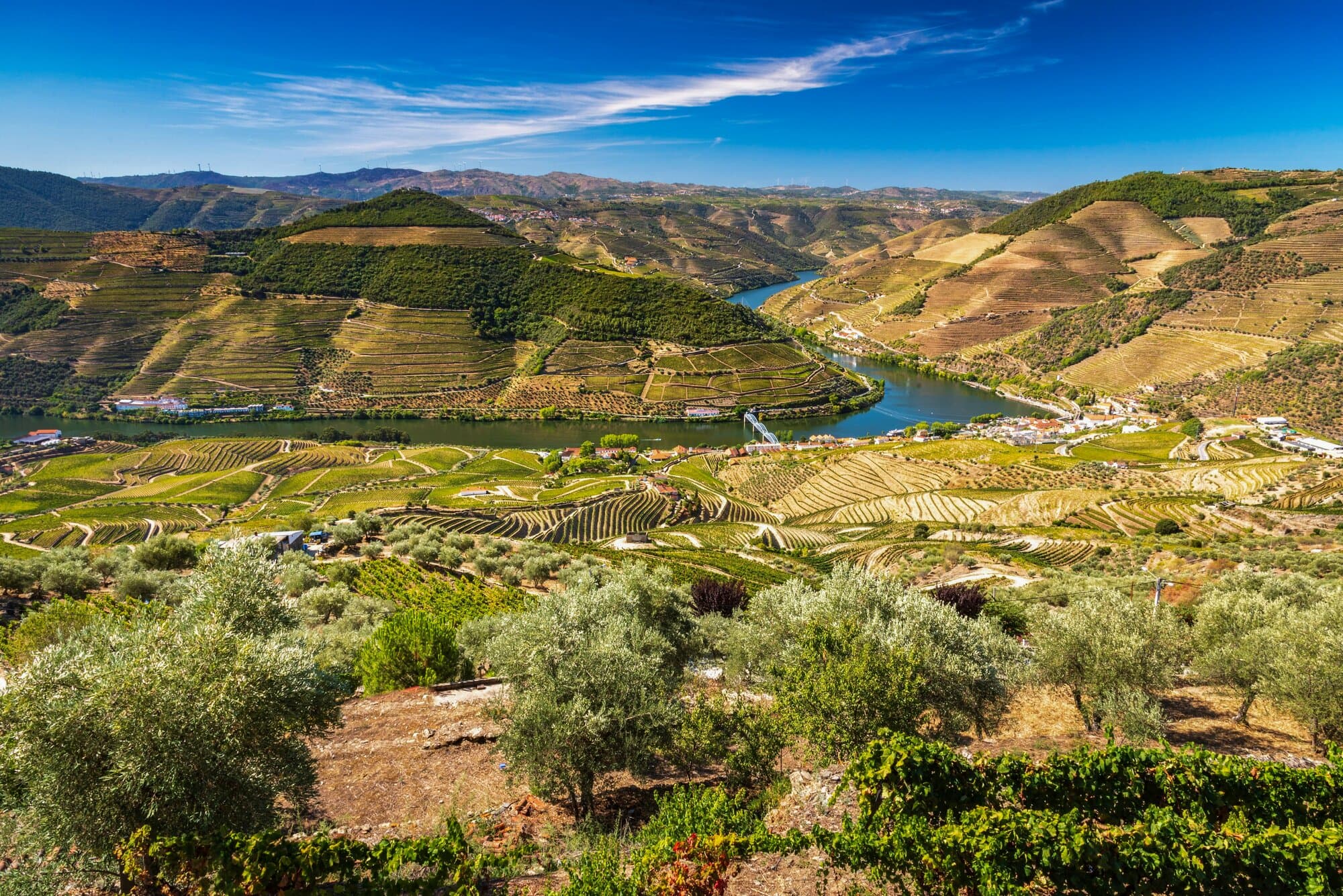 Enticing Douro - Taste of Christmas