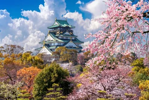 A Week in Japan