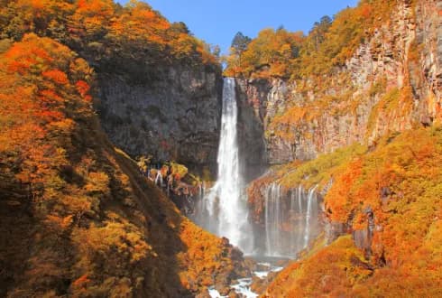 Journey through Japan – Red Hot Offer