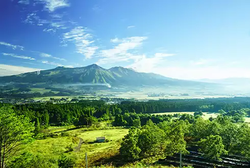 Japan & the Scenic South – Red Hot Offer