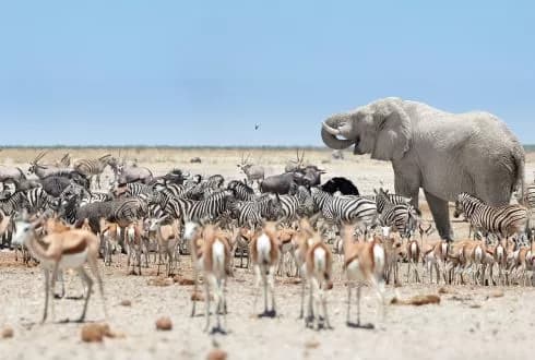 Namibia Adventure – Red Hot Offer