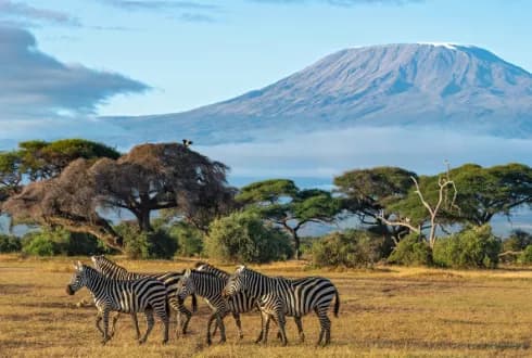 Treasures of Kenya & Tanzania