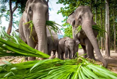 Thailand & Laos Adventure
