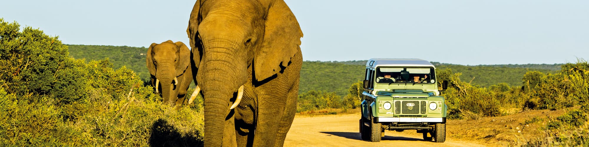 Sensational South Africa