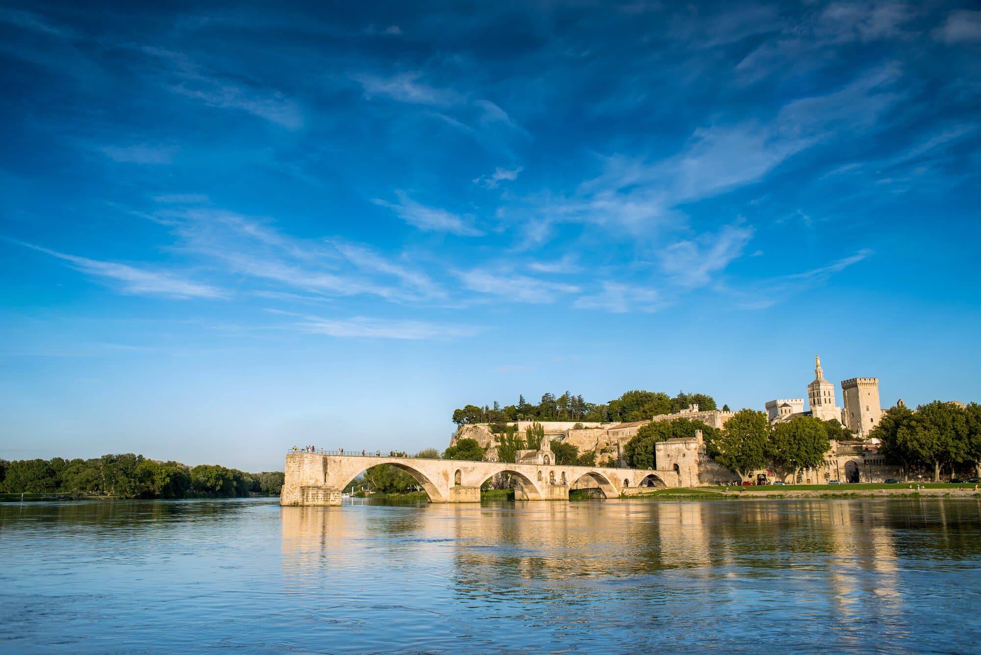 Grand Seine & Rhône - Celebration of Wine