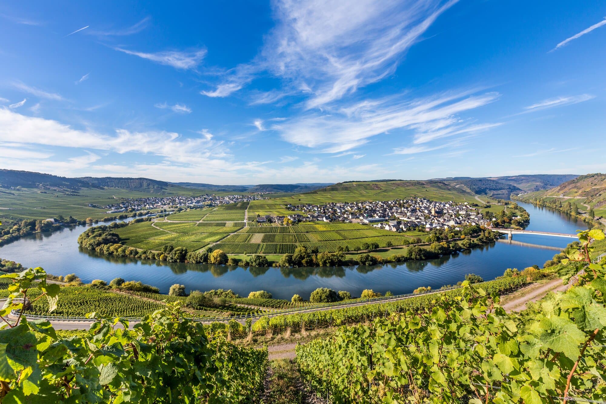 Rhine & Moselle Splendors - Celebration of Wine